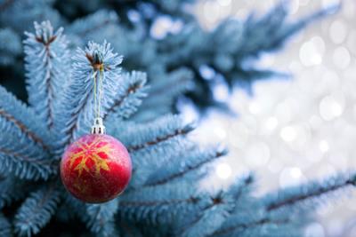 Christmas fir tree with red bauble