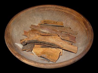 Cinnamomum verum bark, H.Zell via Wikimedia commons.