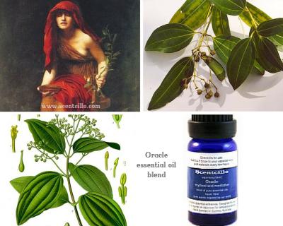 Scentcillo Oracle essential oil blend - mystical and meditative