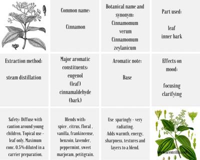 On the spice trail - Cinnamon (Cinnamomum zeylanicum) essential oil ...