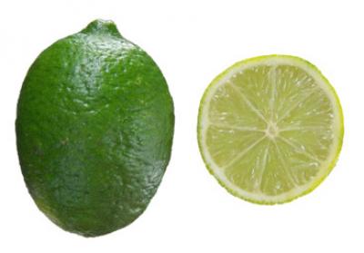 Citrus aurantifolia Mexican Lime