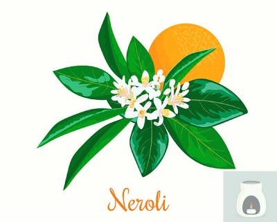 Neroli flowers and essential oil burner