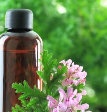 Rose geranium essential oil