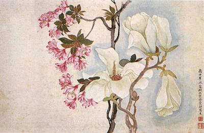Yun Shouping, Magnolias