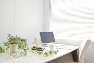 computer on desk with pot plant