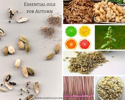 essential oils for Autumn