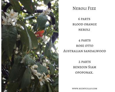 Neroli Fizz essential oil blend