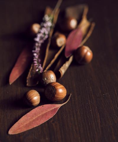 Nuts and leaves 