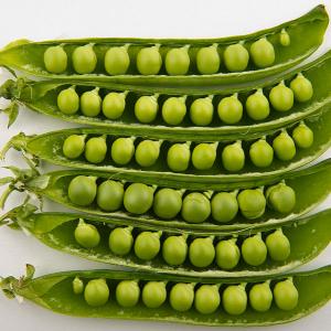 green peas in a pod