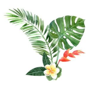 Summer foliage and frangipani watercolour