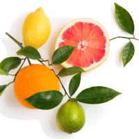 Citrus fruits